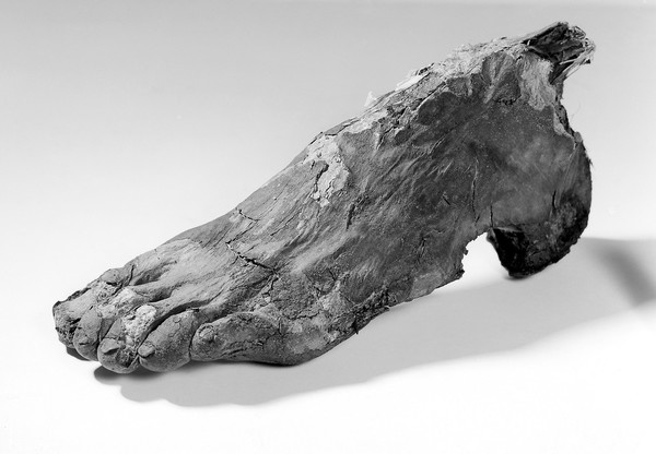 Mummified Egyptian foot, probably from Memphis