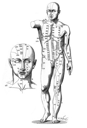 La médicine chez les Chinois / par le captaine P. Dabry ; ouvrage cor. et précédé d'une préface par M. J. Léon Soubeiran.