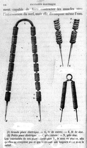 view Apparatus used in experiments in curare, C. Bernard