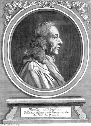 M0014815: Portrait of Marcello Malpighi (1628-1694)