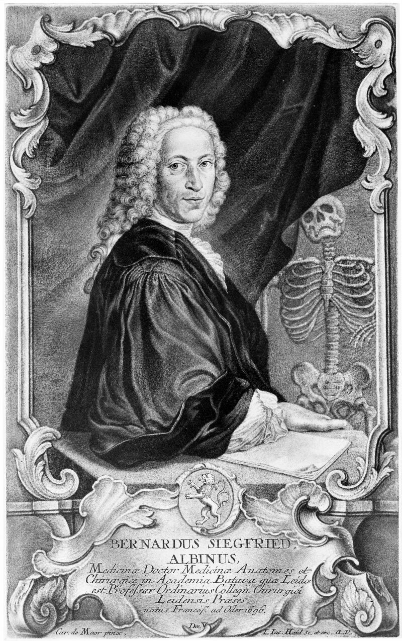 No text description is available for this image