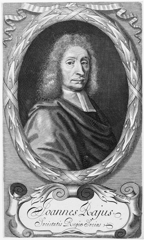 John Ray. Line engraving by W. Elder, 1694, after W. Faithorne.