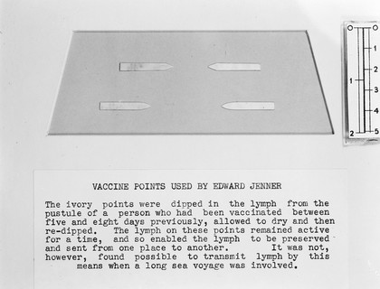 Instruments used for vaccination in the mid 19th century.