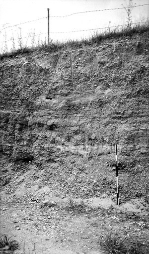 view Pleistocene deposits of the Thames valley. Cannoncourt Farm, Furze Platt, Maidenhead, Berks. Section in pit worked in the Lent Rise-Furze Platt (lower Boyn Hill) Terrace.