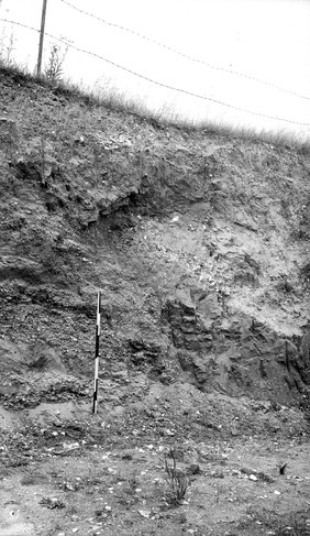 Pleistocene deposits of the Thames valley. Cannoncourt Farm (Cooper's Pit), Furze Platt, Maidenhead, Berks. Section in Lent Rise Furze Platt (lower Boyn Hill) Terrace.