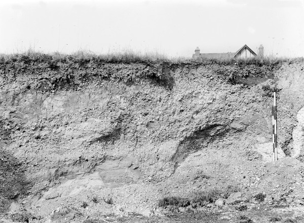 Pleistocene deposits of the Thames valley. Lent Rise, Burnham, Bucks. Section in pit worked in Almond's pit, Lent Rise-Furze Platt (lower Boyn Hill) Terrace.