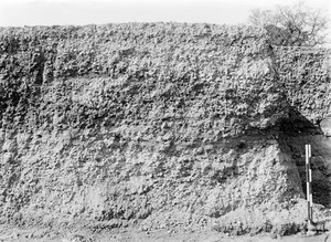 view Pleistocene deposits of the Thames valley. Mansion Lane, Iver, Bucks. Section worked in Iver Terrace.