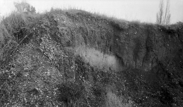 Pleistocene deposits of the Thames valley. Maidenhead, Berks. Upper part of deposits (solifluxion, etc.) exposed in section in gravel pit. Belmont Park Road.