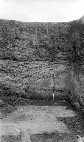 Pleistocene deposits of the Thames valley. Burnham Beeches, Bucks. Section in Deverill's pit, upper Boyn Hill Terrace.