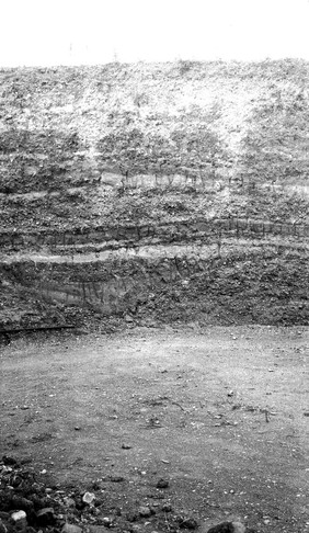 Pleistocene deposits of the Thames valley. Furze Platt, Maidenhead, Berks. Cannoncourt Farm pit, section in gravels in the Lent Rise-Furze Platt (lower Boyn Hill) Terrace.