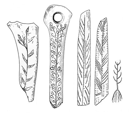 Bones showing carved representations of plants used as food