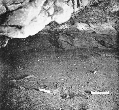 Upper Palaeolithic period, view of gallery with heel prints.