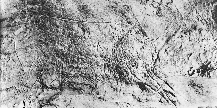 Horses and bison incised on cave wall at La Grotte des Combarelles, Les Eyzies-de-Tayac (Dordogne).