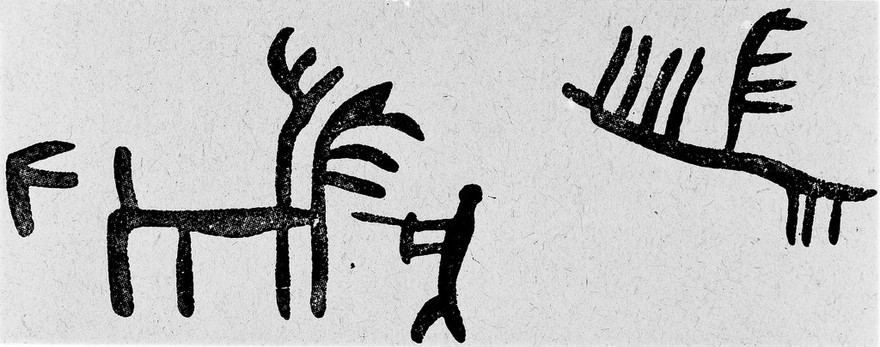 Neolithic representation of hunter and stag, Spain.