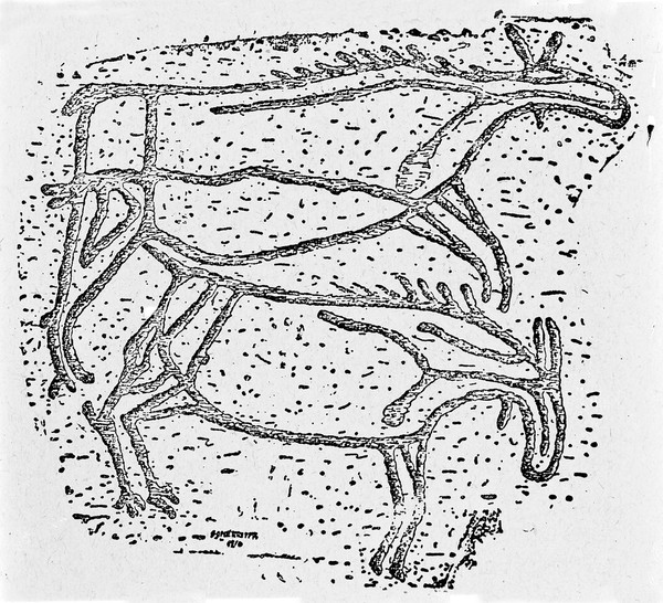 M0015075: Neolithic rock carving representing two elks, Norway
