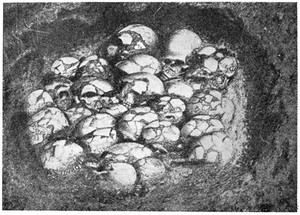 view Part of great skull burial at Ofnet, Bavaria. Copied from Hugo Obermaier, Fossil man in Spain, Newhaven, 1924, figure 143, page 338. (After F.R. Schmidt). Mesolithic level.