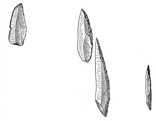 Flint blades, selection of Abri Audi and La Gravette types