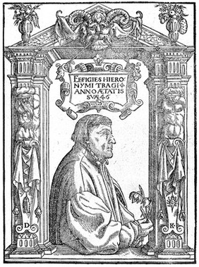 De stirpium, maxime earum, quae in Germania nostra nascuntur, usitatis nomenclaturis, propriisque, differentiis, neque non temperaturis ac facultatibus, commentariorum libri tres / germanica primum lingua conscripti, nunc in latinam conversi, interprete Davide Kybero. His accesserunt ... praefationes duae altera D. Conradi Gesneri ... rei herbariae scriptorum ... catalogum complectens: altera ipsius authoris, herbariae cognitionis laudes ... continens. Praeterea ... adjectus est Benedicti Textoris Segusiani de stirpum differentiis, ex Dioscoride secundum locos communes, libellus.