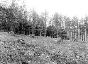 view Stone circle at Inveranran, Glanfalloch, Perthshire. P.S.A.S.