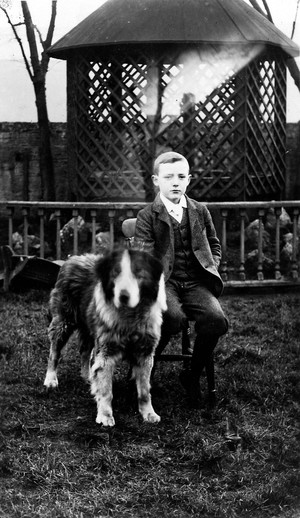 view Portrait of Sir Allen Daley as a boy at Hardy College, Bootle