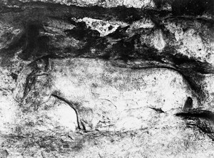 view High releif carving of horse, Upper Palaeolithic period.