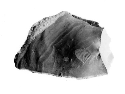 Flint flake showing bulb of percussion produced by Coutier.