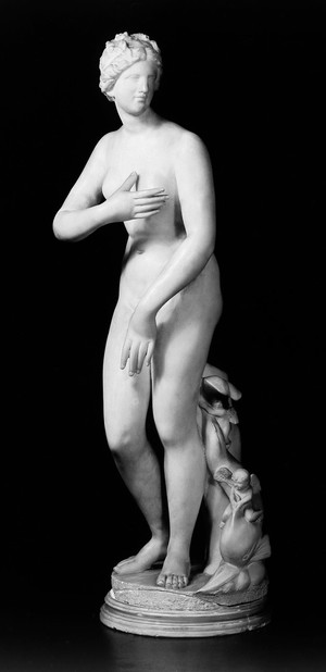 view Statue of Aphrodite Anadymone in white marble.