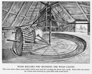 view The manufacture of wood. leaves crushed to a pulp by rollers. Each roller was drawn by a horse.