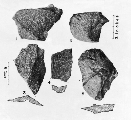 Mylonite and biotite granite flakes...