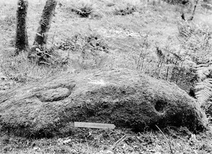 view Cup and ring markings on rock, Luss, Probably Bronze Age.