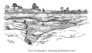 view Clay pit showing permanent water, Herts/Beds.