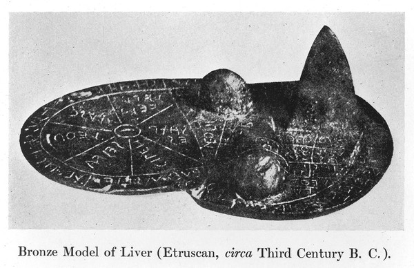 Estrucan bronze model of liver