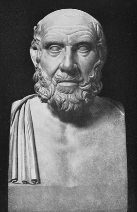 "Term of an unknown Greek", bust of Hippocrates ?