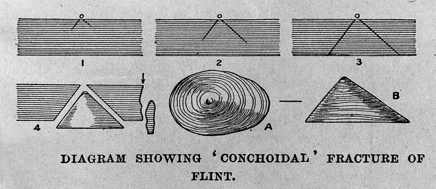 Diagram showing the conchoidal fracture of flint.