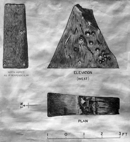 M0015948: Cup markings on a triangular stone at Duinish, Perthshire