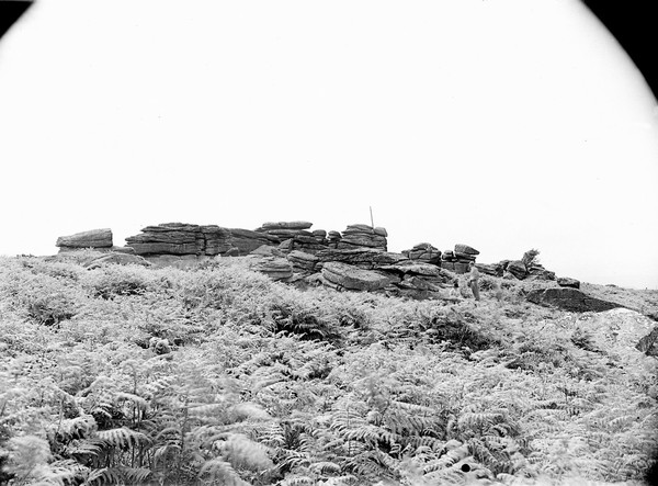 Weathered granite rock-outcrop on Dartmoor, Devon.