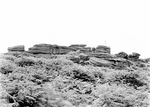 view Weathered granite rock-outcrop on Dartmoor, Devon.