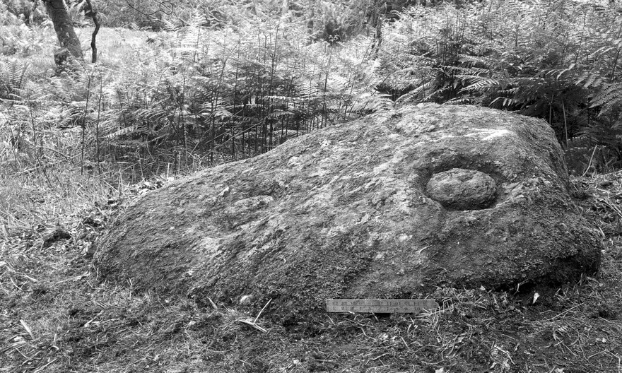 M0016024: Prehistoric sculpted rock at Shegarton, Luss, Dunbartonshire: seen from south