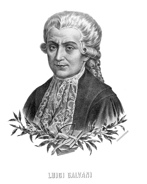 Lithograph: portrait of L. Galvani, head
