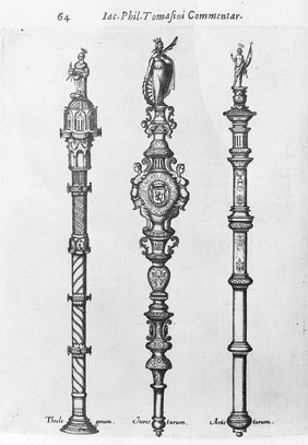 M0016100: Sceptres of jurists, theologians, humanists at the University of Padua, 1654