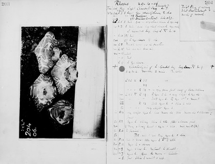 Laboratory notebook of experiments by Sir Victor Horsely.