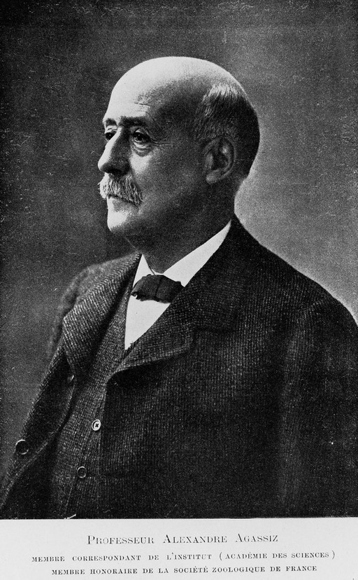 Alexandre Agassiz. Portrait