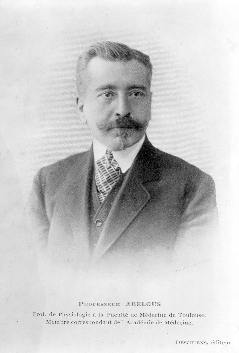 No text description is available for this image