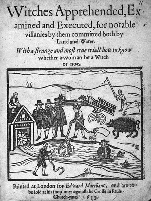 view Witches apprehended..., 1613