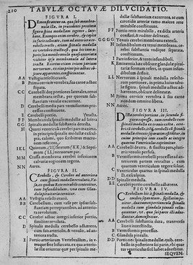 De humani corporis fabrica libri decem. Tabulis XCIIX. aeri incisis ... exornati ... Opus posthumum / [Edited by] Daniel Bucretius.