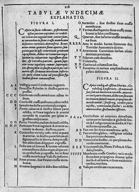 De humani corporis fabrica libri decem. Tabulis XCIIX. aeri incisis ... exornati ... Opus posthumum / [Edited by] Daniel Bucretius.