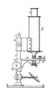 Nouveau manuel complet de l'observateur au microscope / [Félix Dujardin].