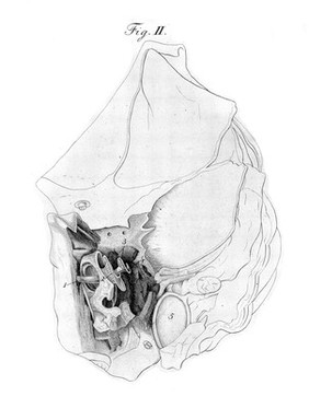 Icones anatomicae / [Conrad Johann Martin Langenbeck].