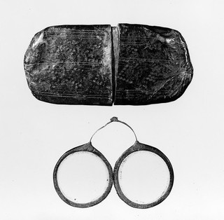 Eye-glasses and case.