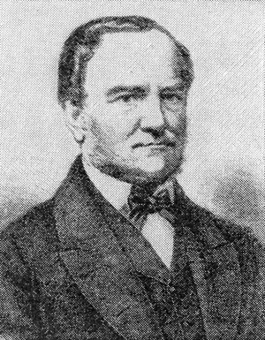 view Portrait of Viktor Von Bruns